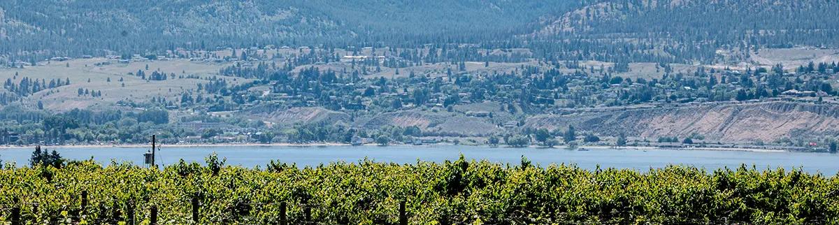 Wine Tasting in Penticton – Top Wineries and Wine Tours in South Okanagan