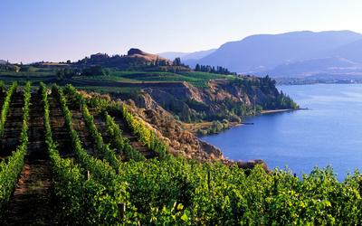 Wine Tasting in Penticton