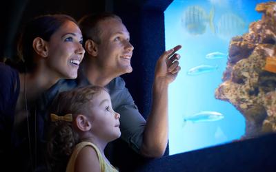 Discover Marine Life at the Shaw Centre for the Salish Sea