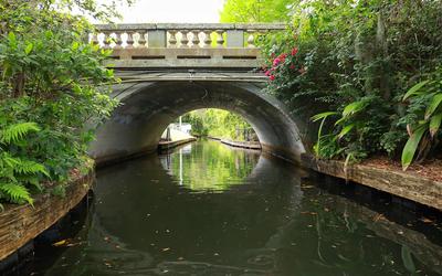 Cruise the Canals on a Winter Park Scenic Boat Tour