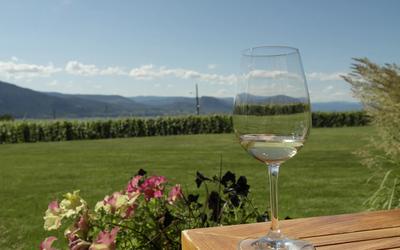 Explore the Penticton VQA Wine Shop