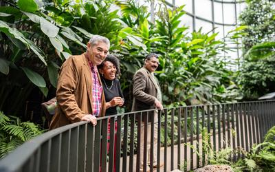 Wander Through Harry P. Leu Gardens